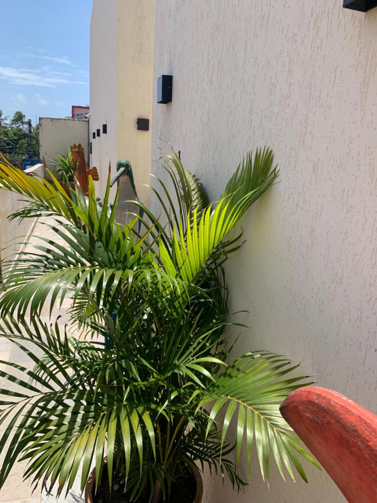 Villa Peixe Na Telha Porto de Galinhas Bagian luar foto