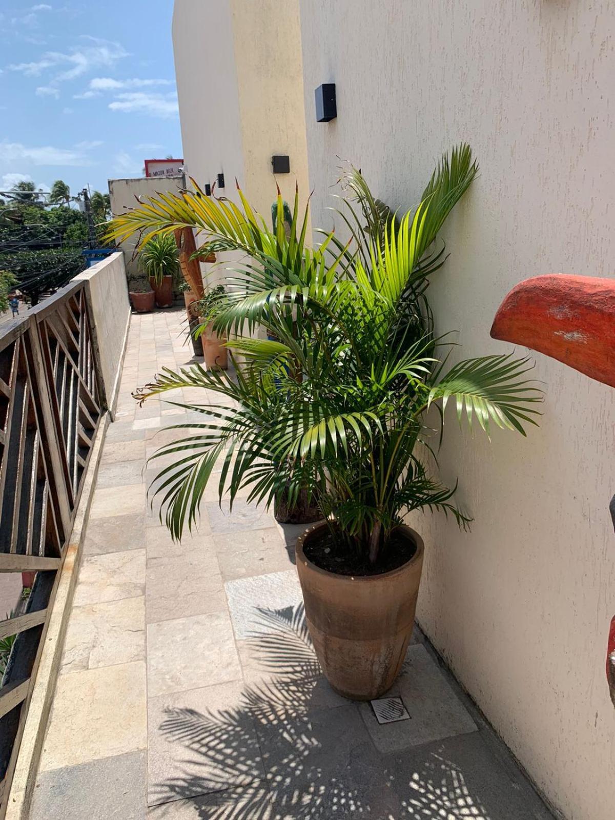 Villa Peixe Na Telha Porto de Galinhas Bagian luar foto